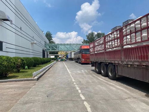 直擊河南汛情 鄭州放晴，兩大食品巨頭恢復生產，廠區門口運輸車輛排起長龍